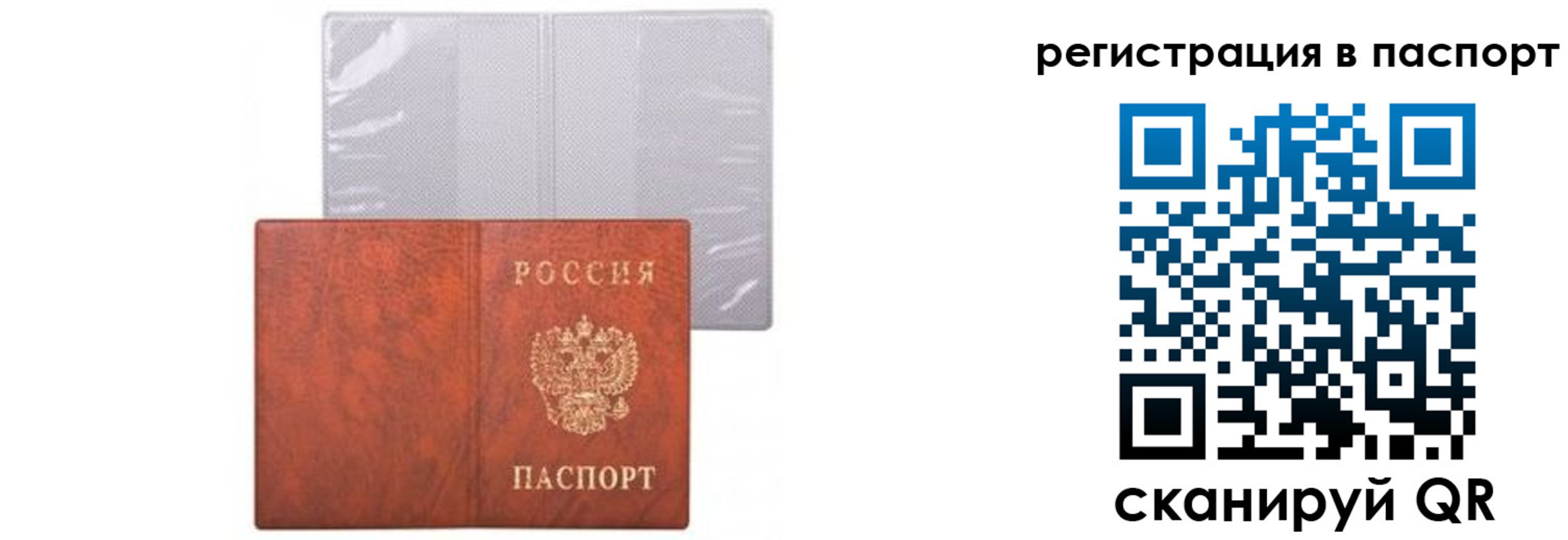 прописка ребенка в Московской области